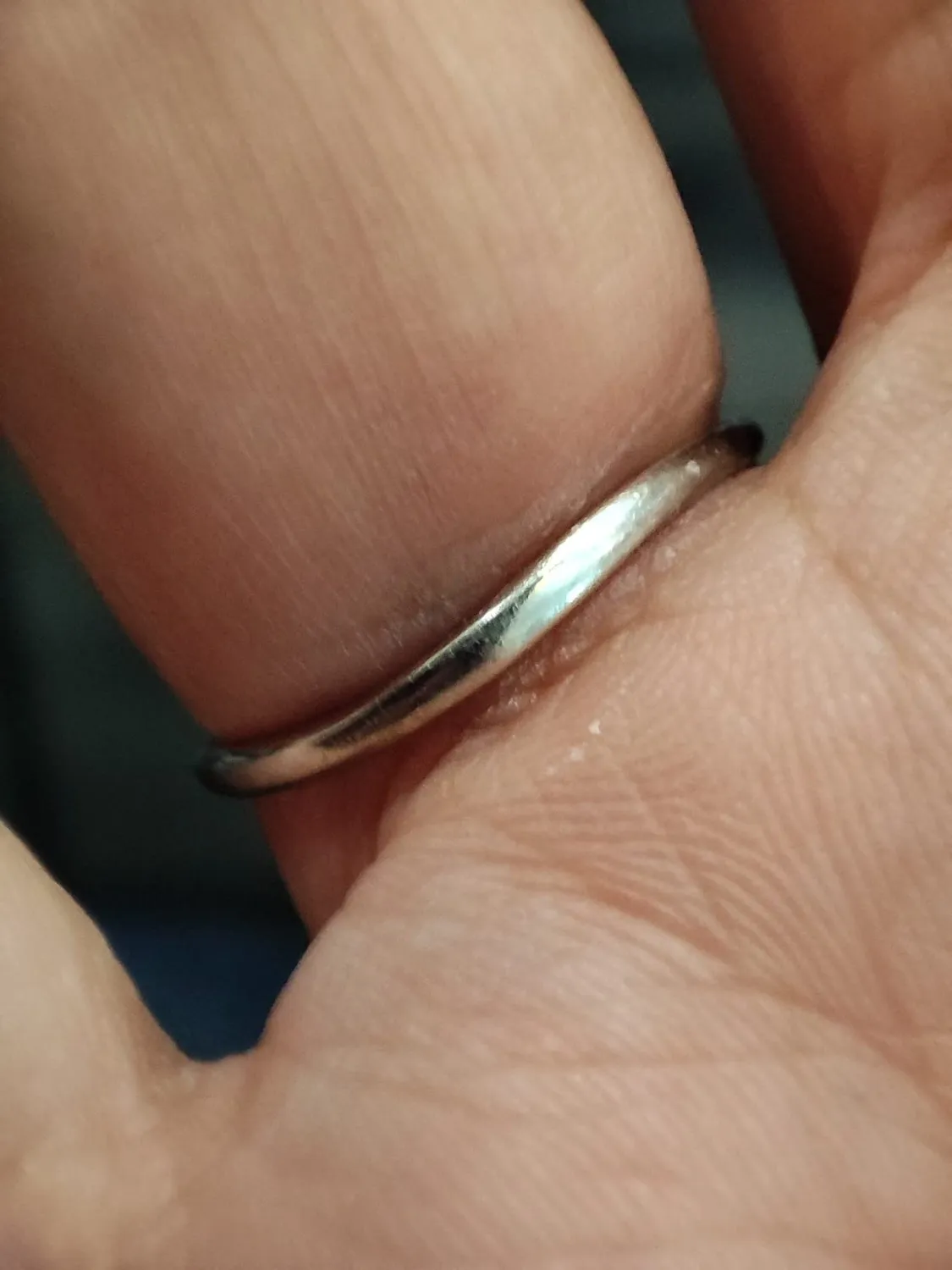 JewelryPalace Foglia di Olivo Anello Argento Regolabile