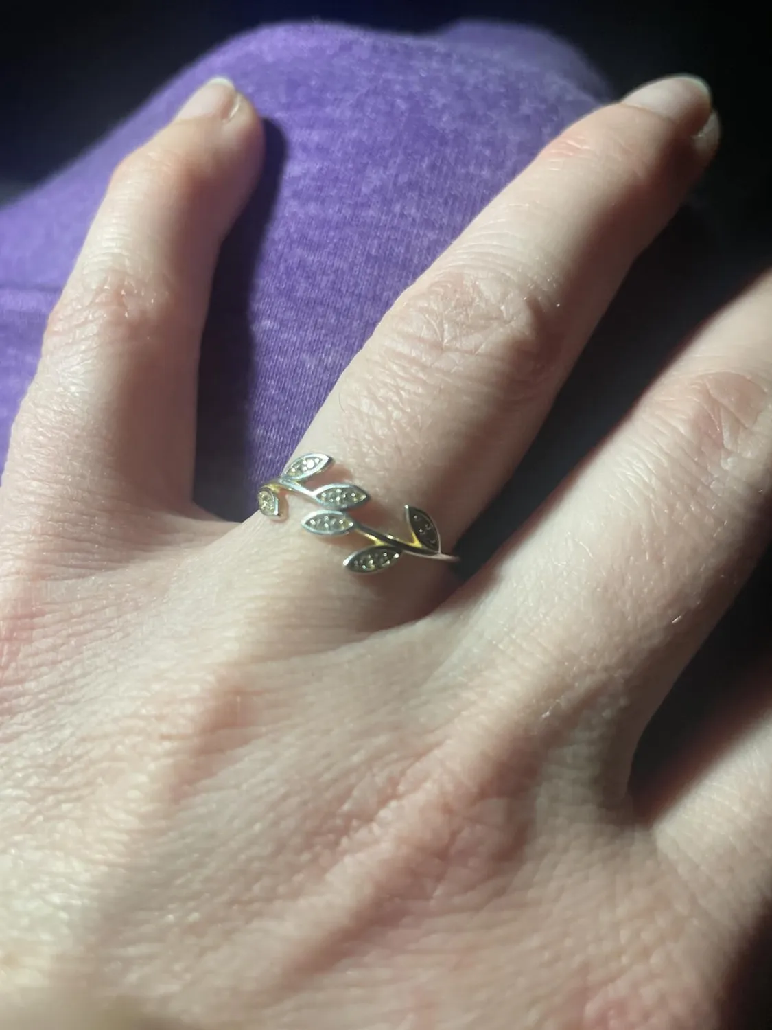 JewelryPalace Foglia di Olivo Anello Argento Regolabile
