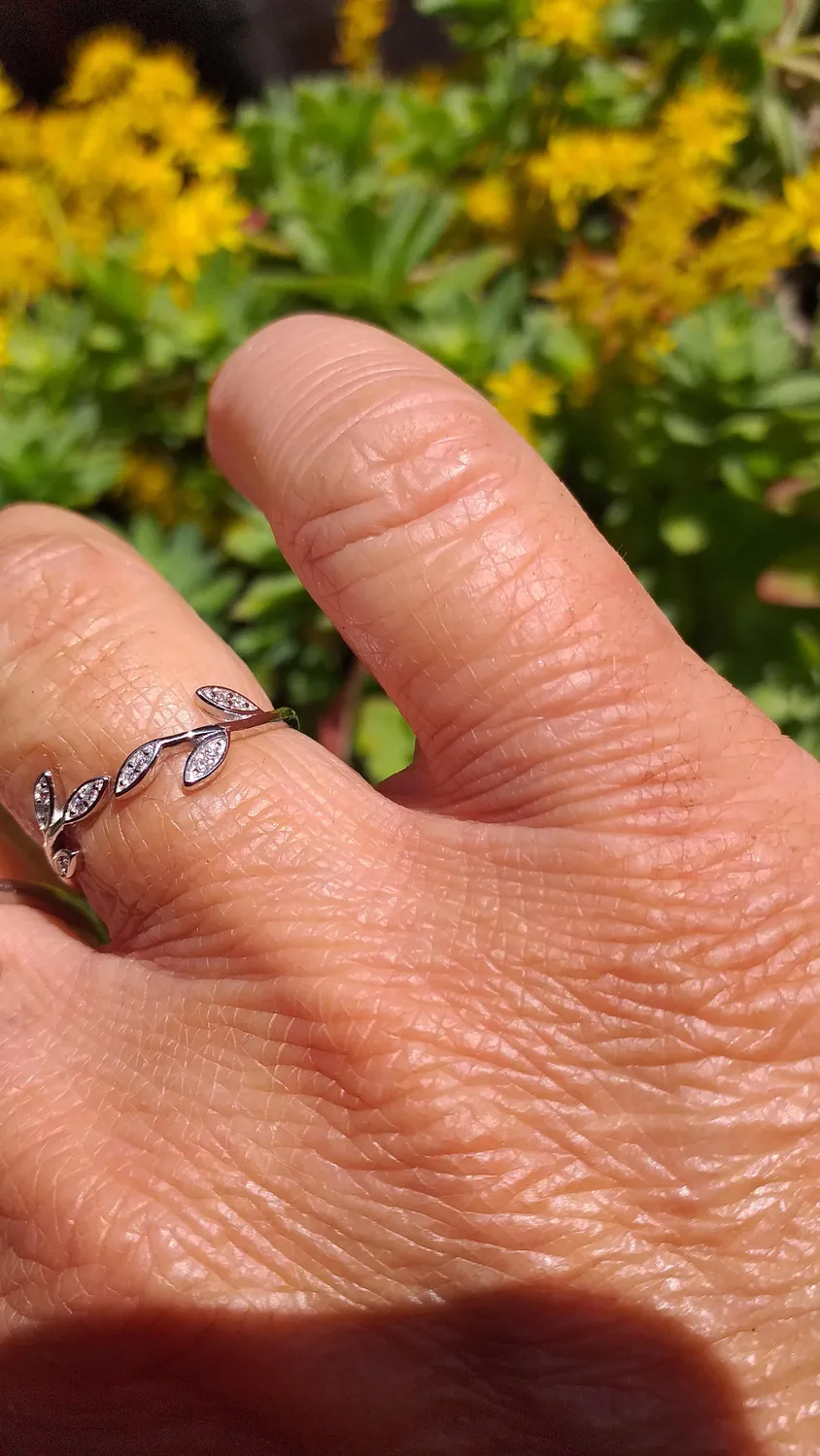 JewelryPalace Foglia di Olivo Anello Argento Regolabile